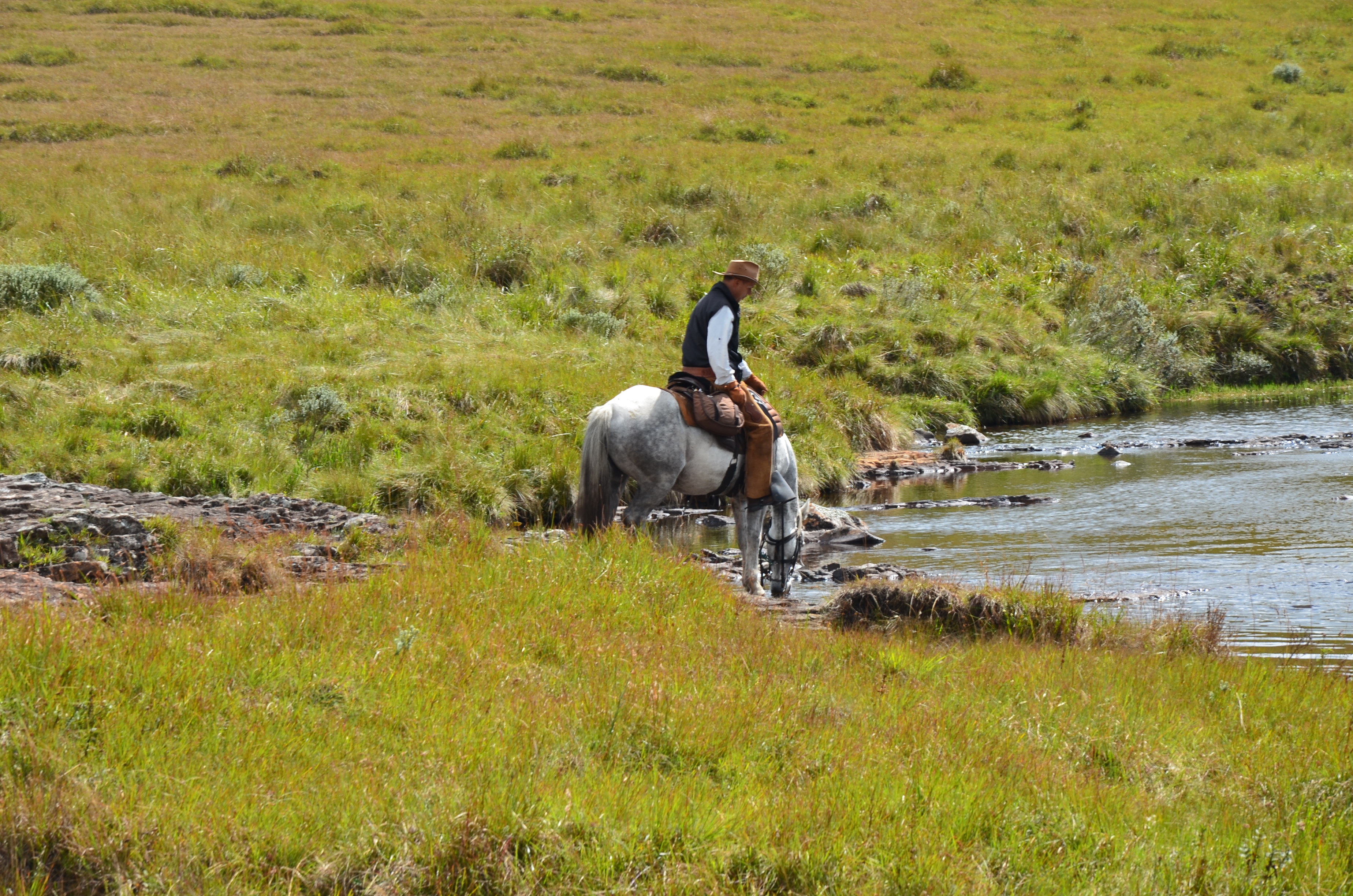 Image Brésil : Canyons et cascades au pays des gauchos à cheval