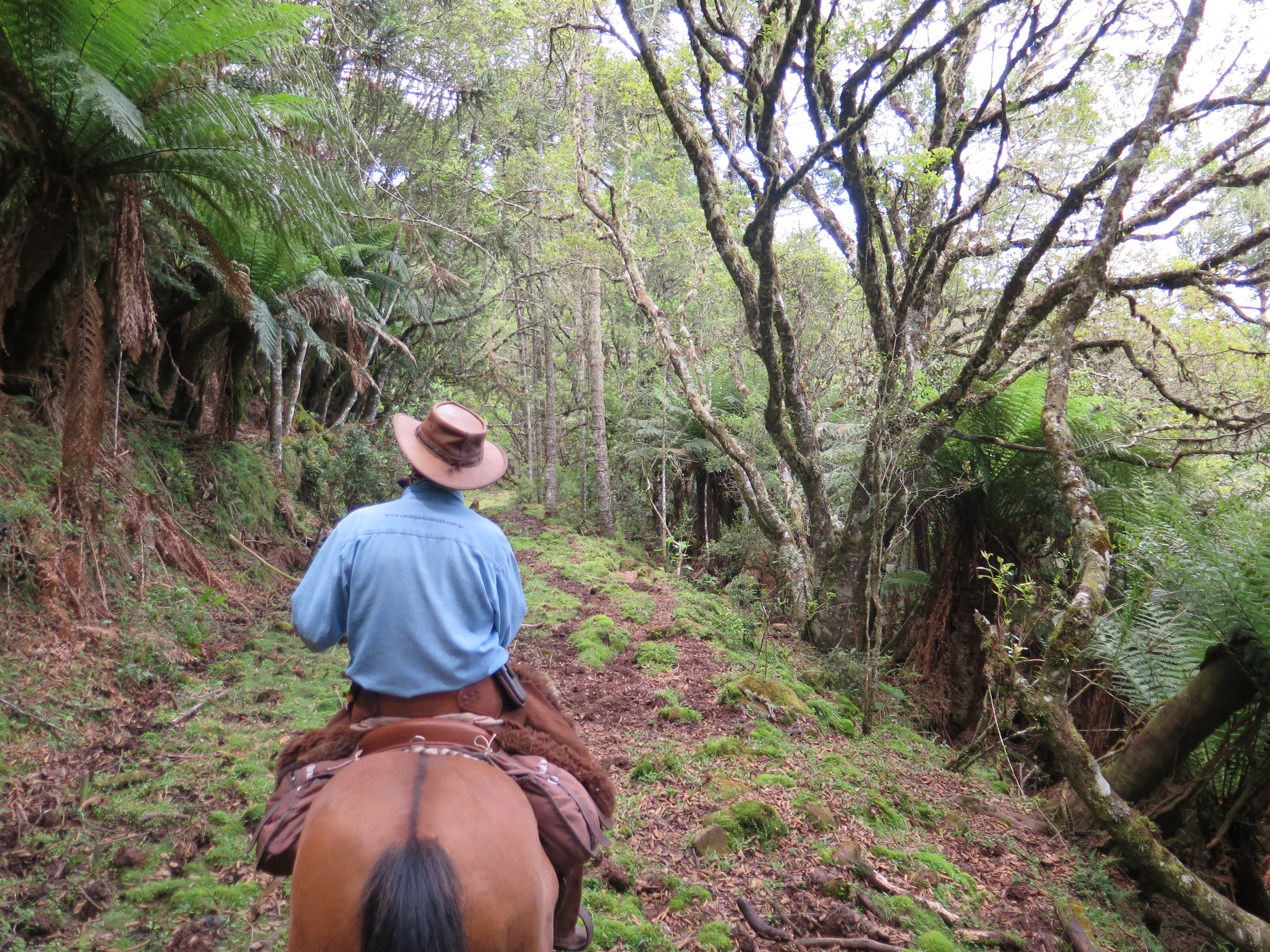 Image Brésil : Canyons et cascades au pays des gauchos à cheval
