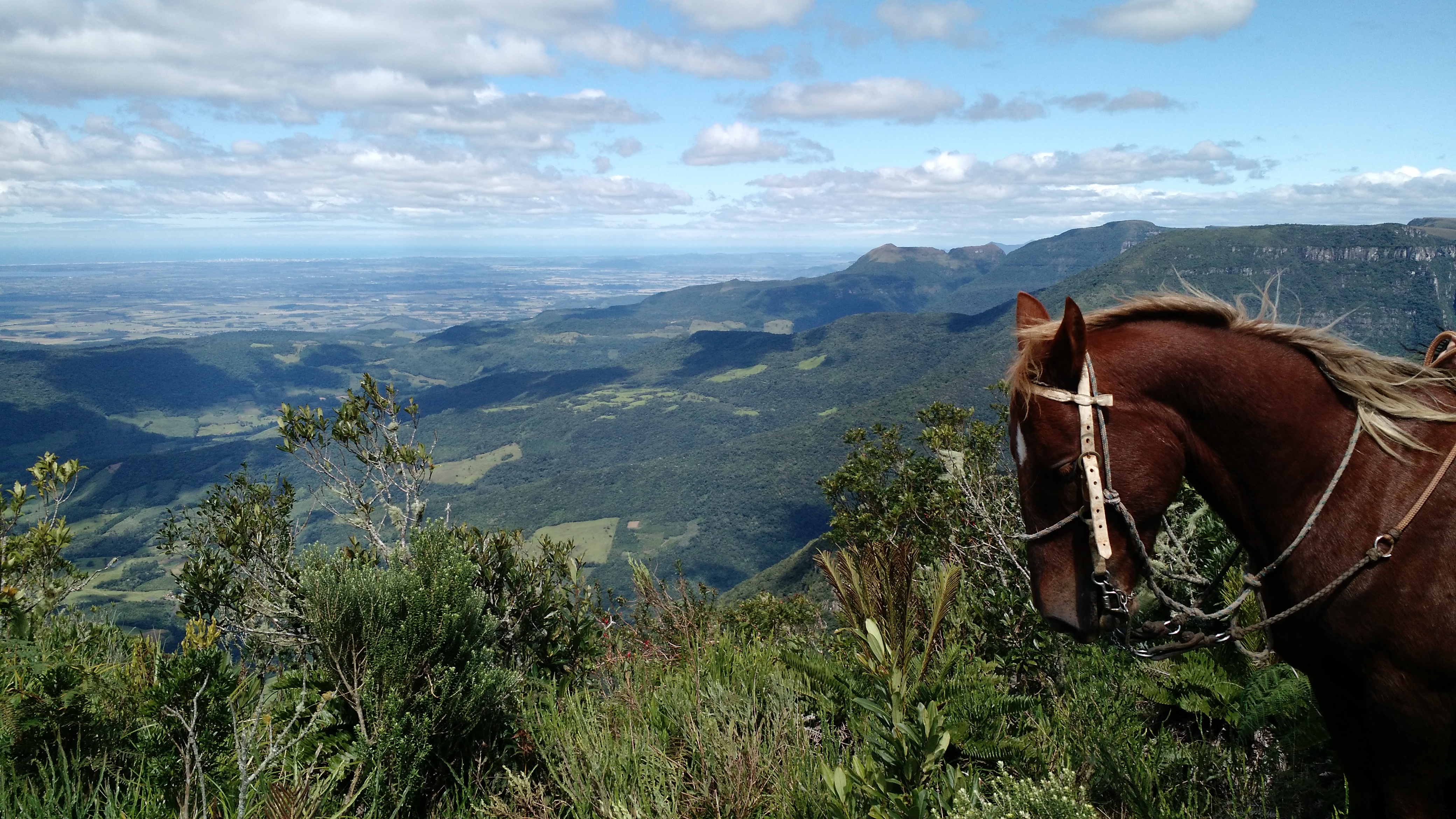 Image Brésil : Canyons et cascades au pays des gauchos à cheval