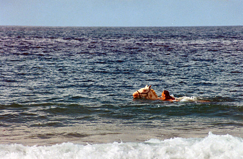 équitation Caraibes