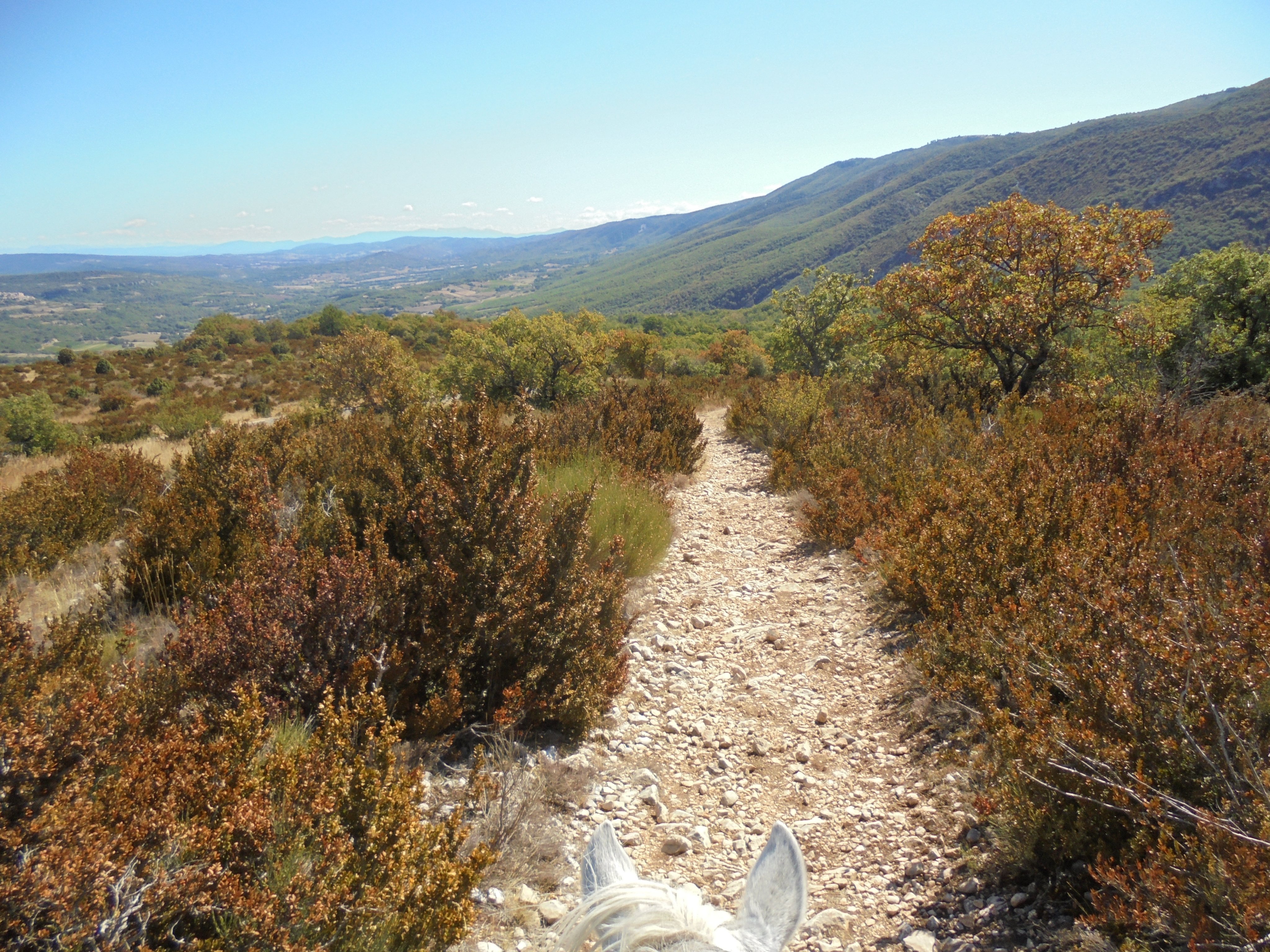 Image Week end ou 2 jours en rando à cheval dans le Luberon en itinérance