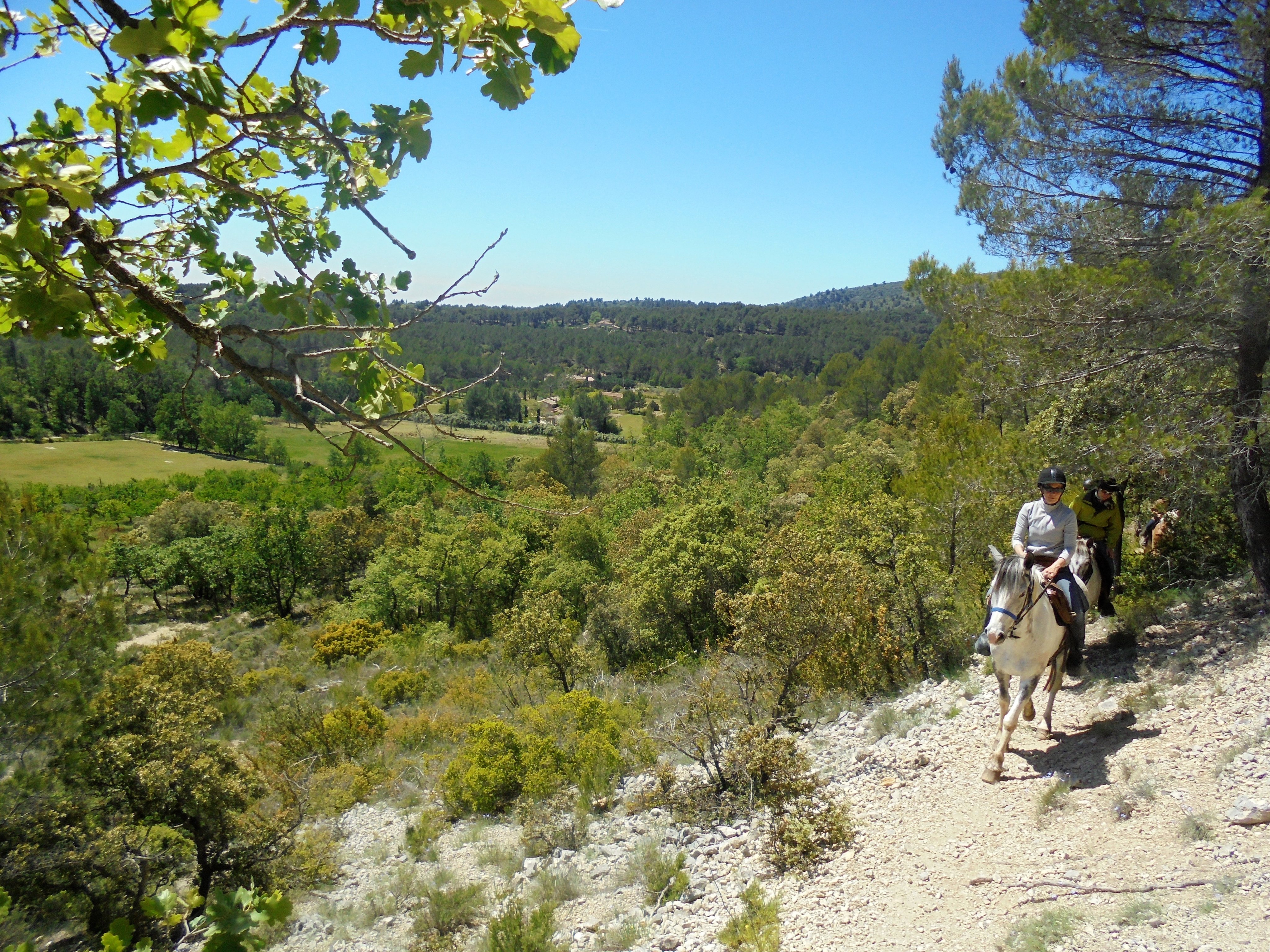 Image Week end ou 2 jours en rando à cheval dans le Luberon en itinérance