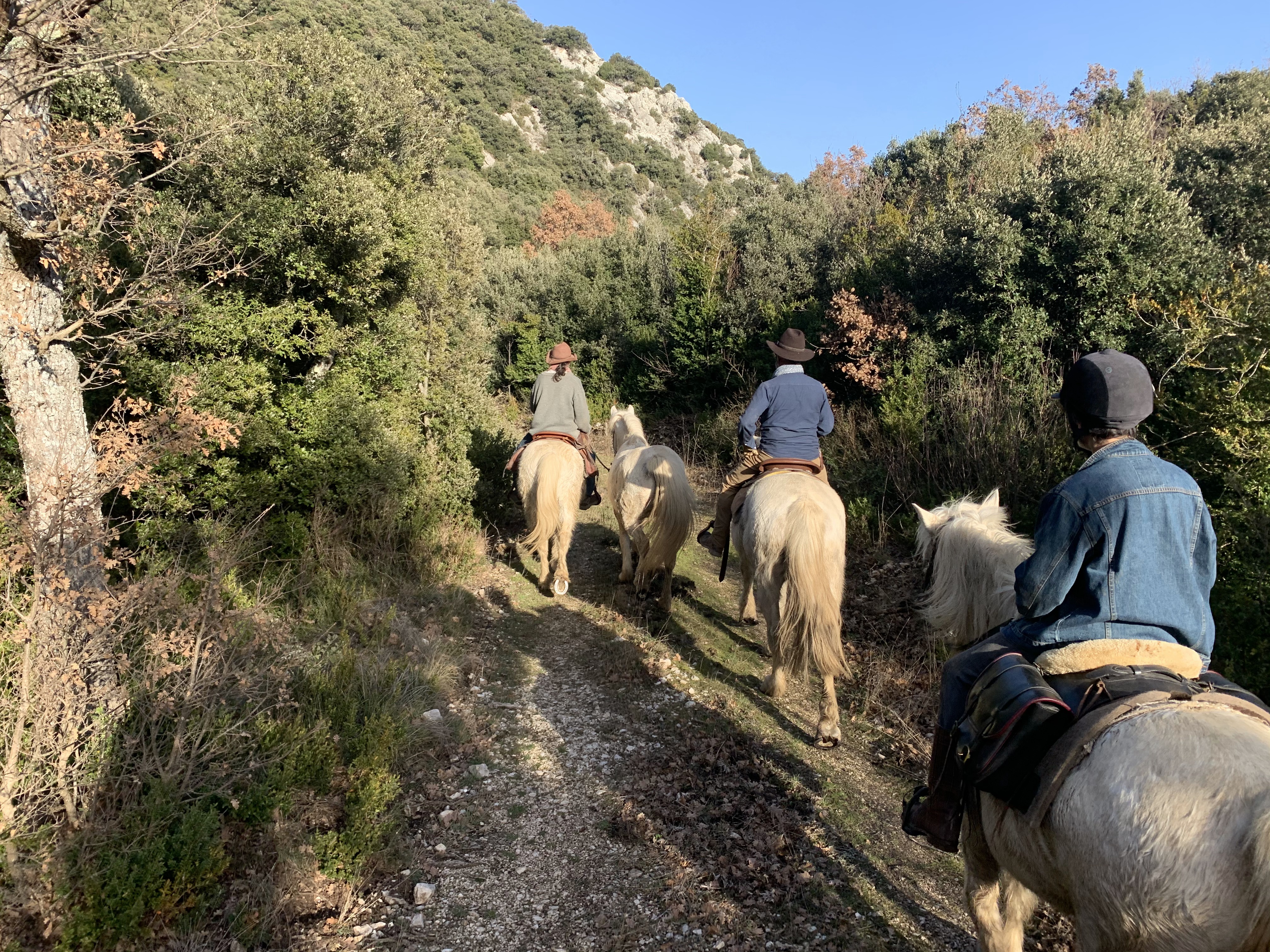 Image Week end ou 2 jours en rando à cheval dans le Luberon en itinérance