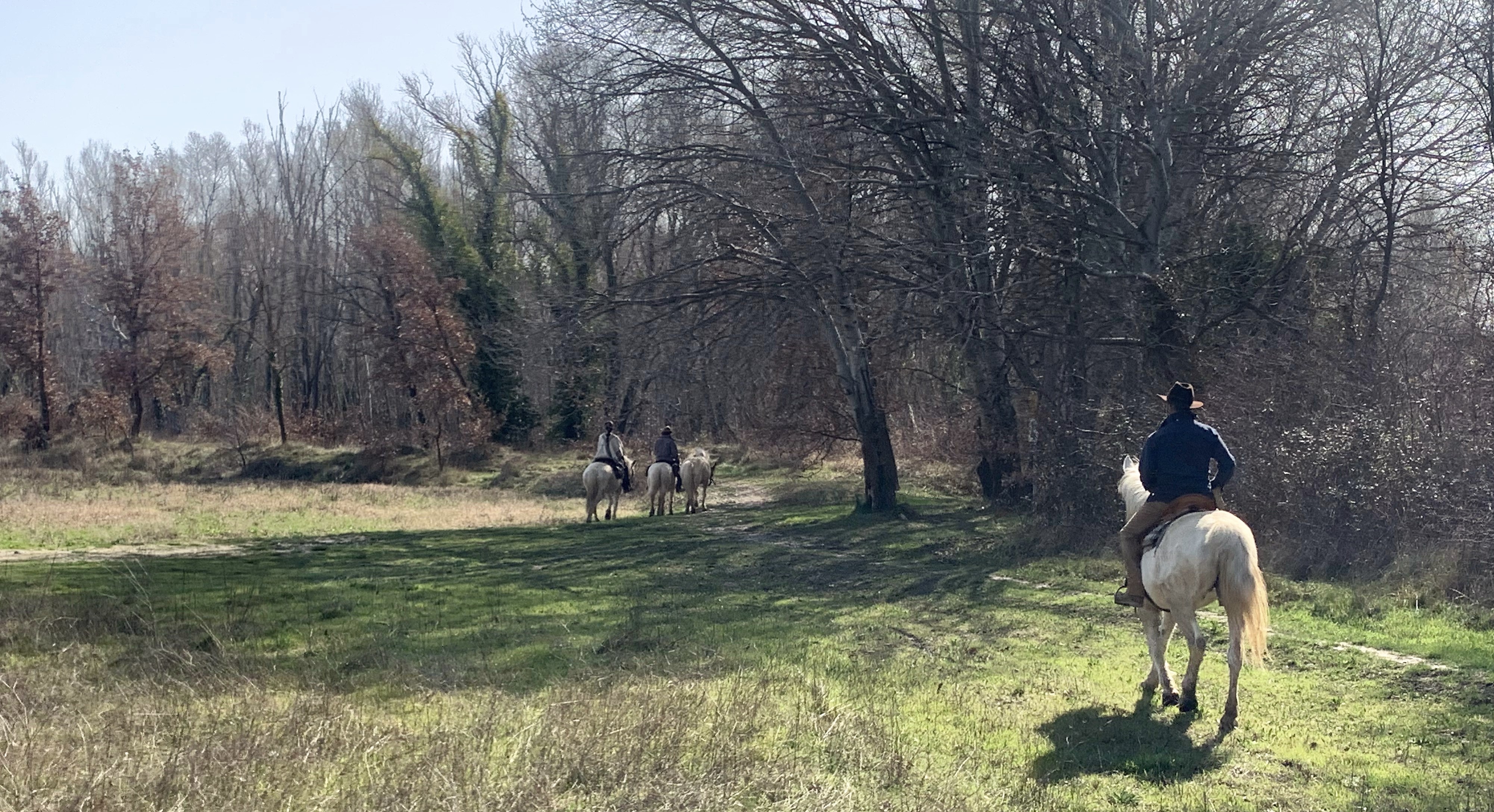 Image Week-end ou deux jours en rando à cheval entre Durance et Luberon
