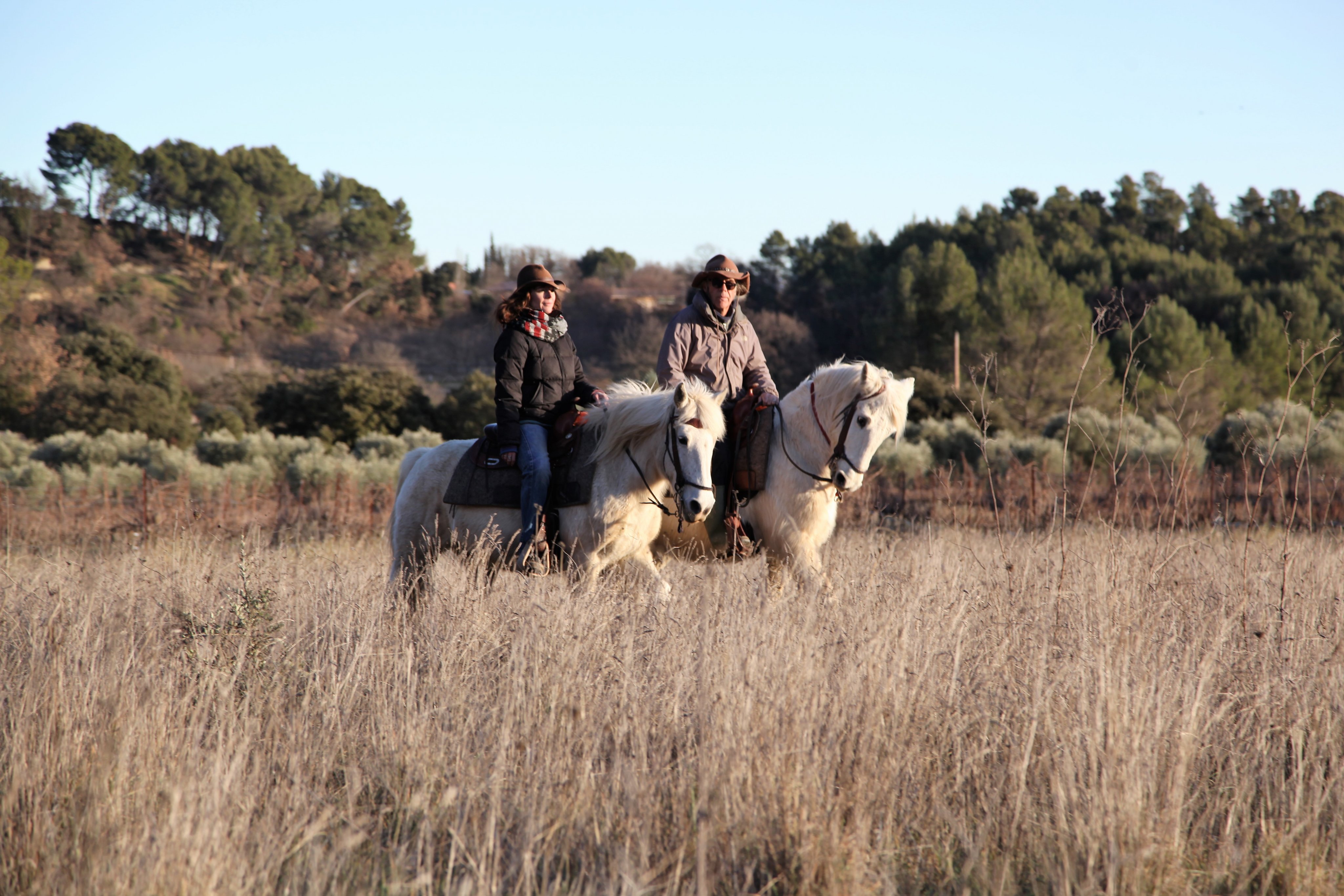 Image Week-end ou deux jours en rando à cheval entre Durance et Luberon