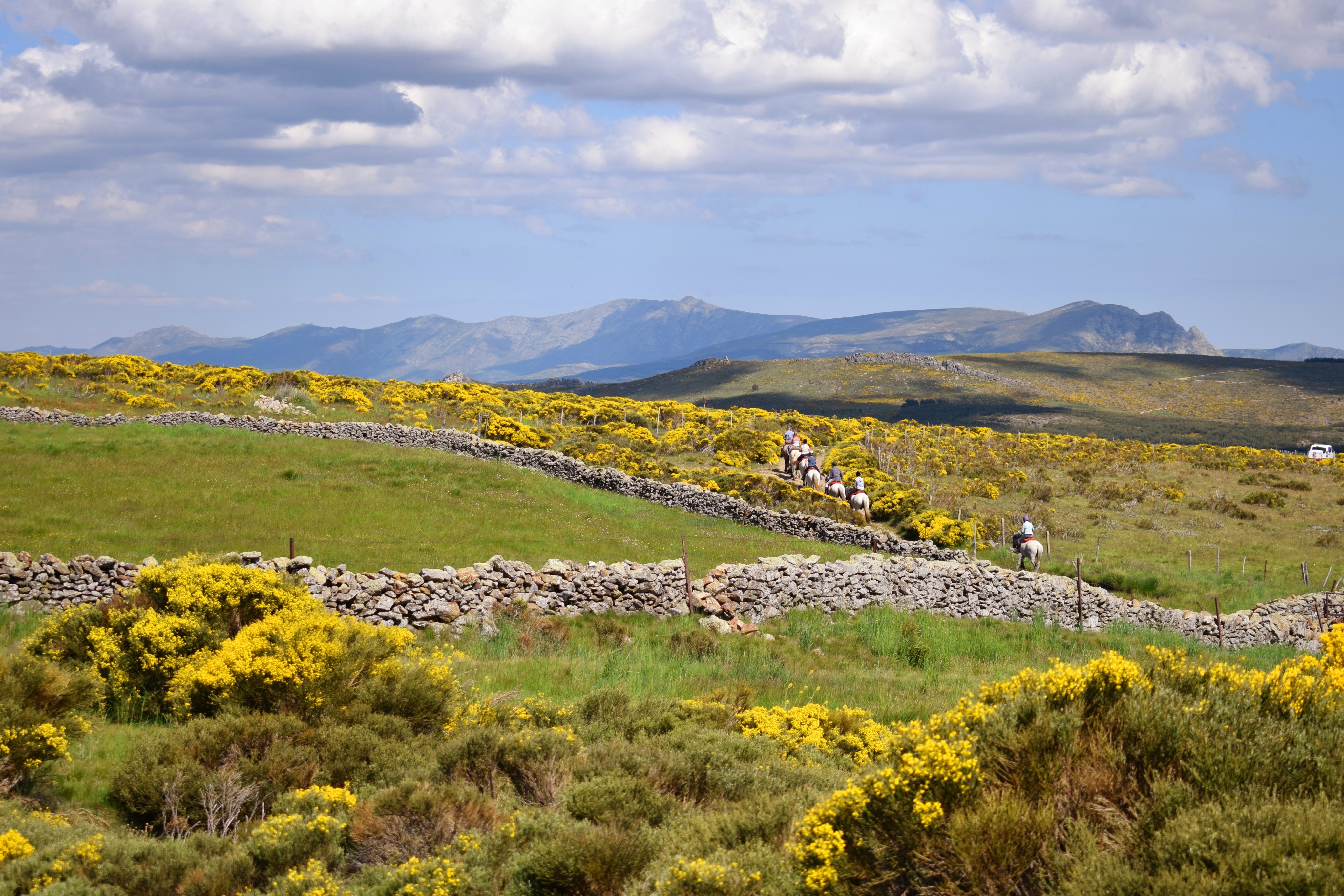 Trek à cheval en Espagne