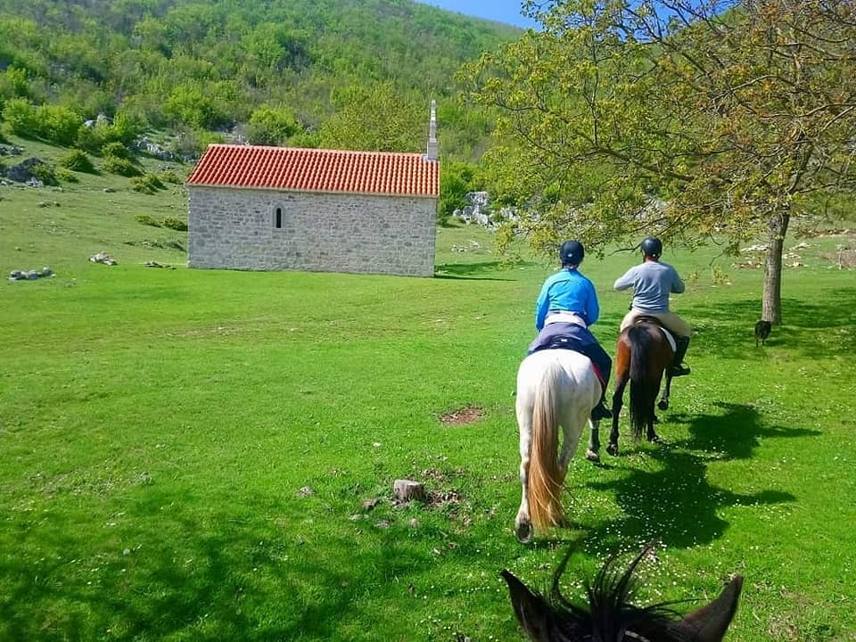 Image Croatie: Les collines de Dalmatie à cheval