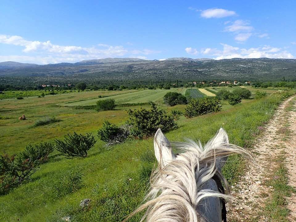 Image Croatie: Les collines de Dalmatie à cheval