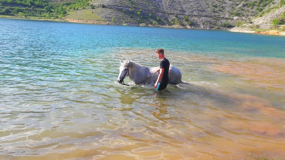 Image Croatie: Les collines de Dalmatie à cheval
