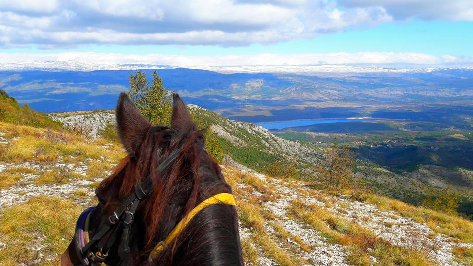 Image Croatie: Les collines de Dalmatie à cheval