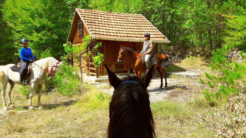 Image Croatie: Les collines de Dalmatie à cheval