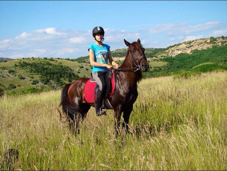 Image Croatie: Les collines de Dalmatie à cheval