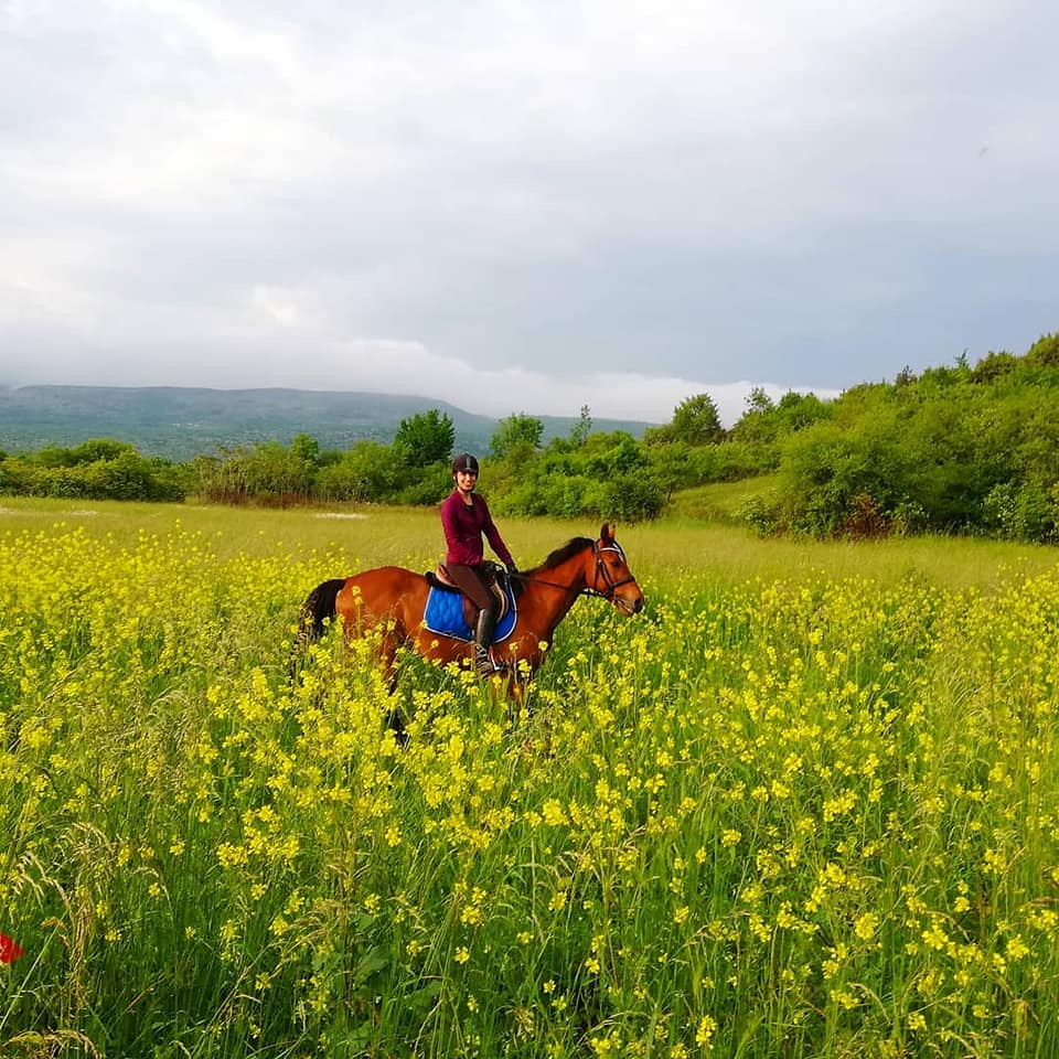 Image Croatie: Les collines de Dalmatie à cheval