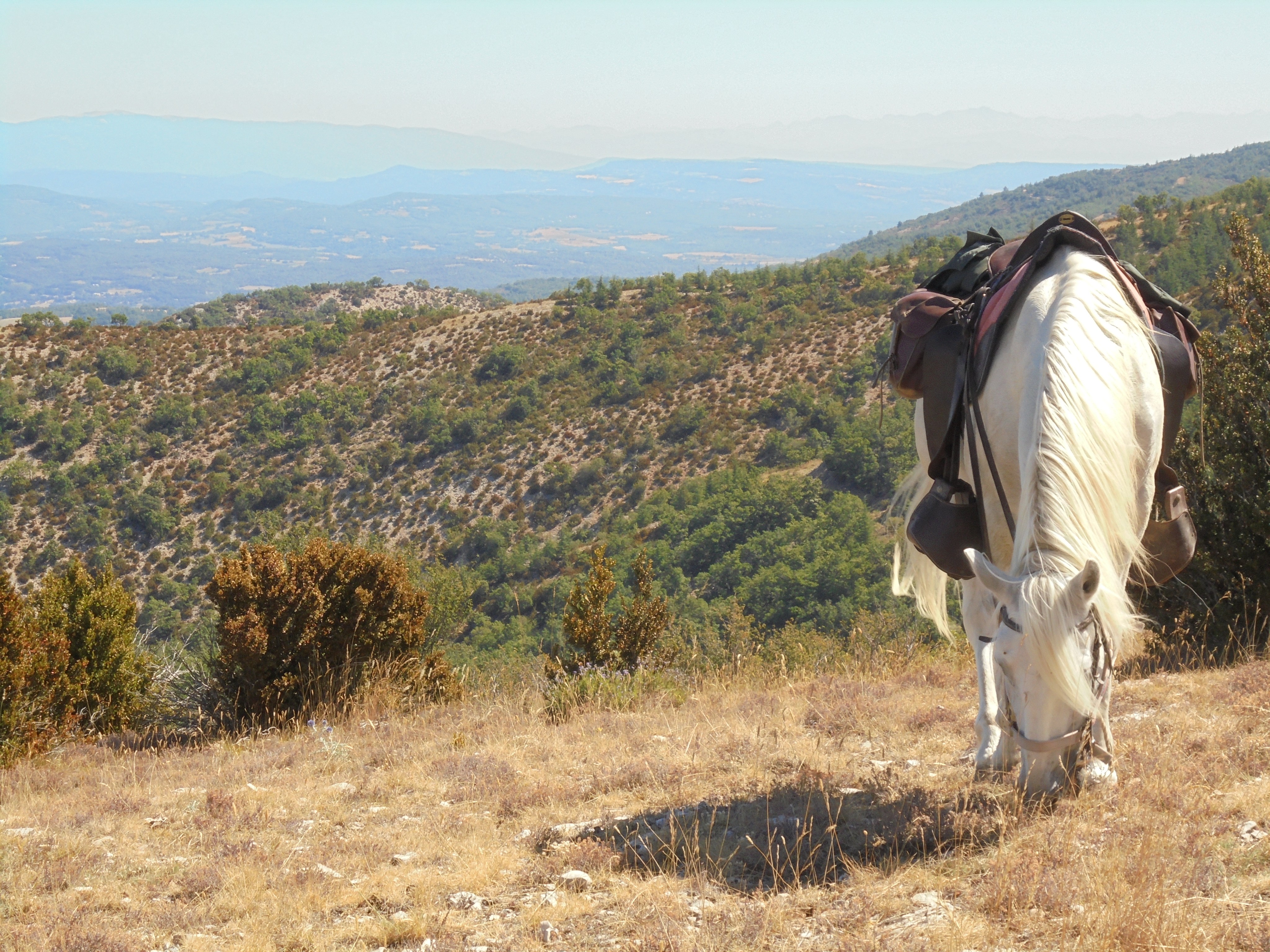 Image Quatre jours en rando à cheval dans le Petit Luberon itinérants