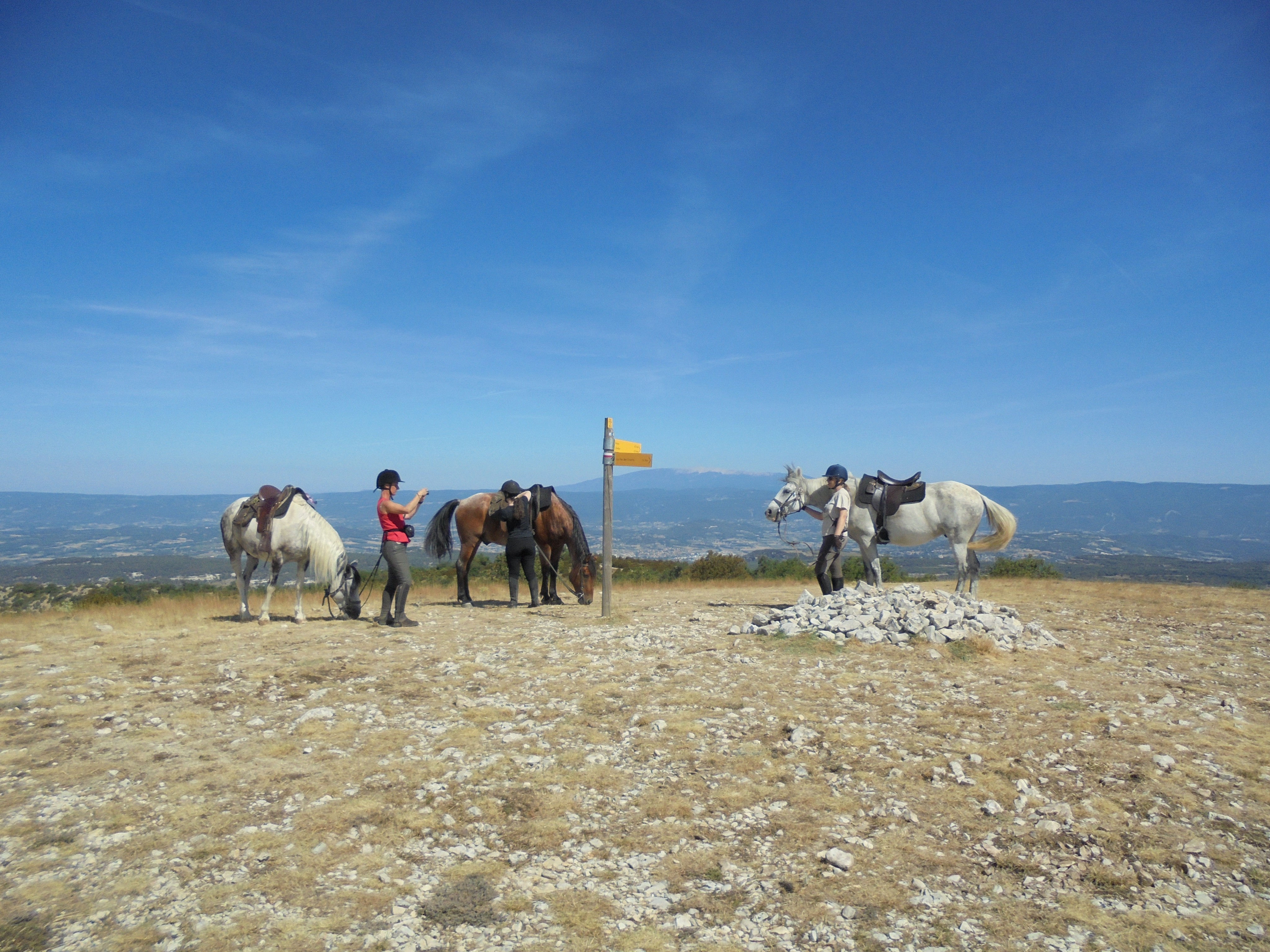 Image Quatre jours en rando à cheval dans le Petit Luberon itinérants