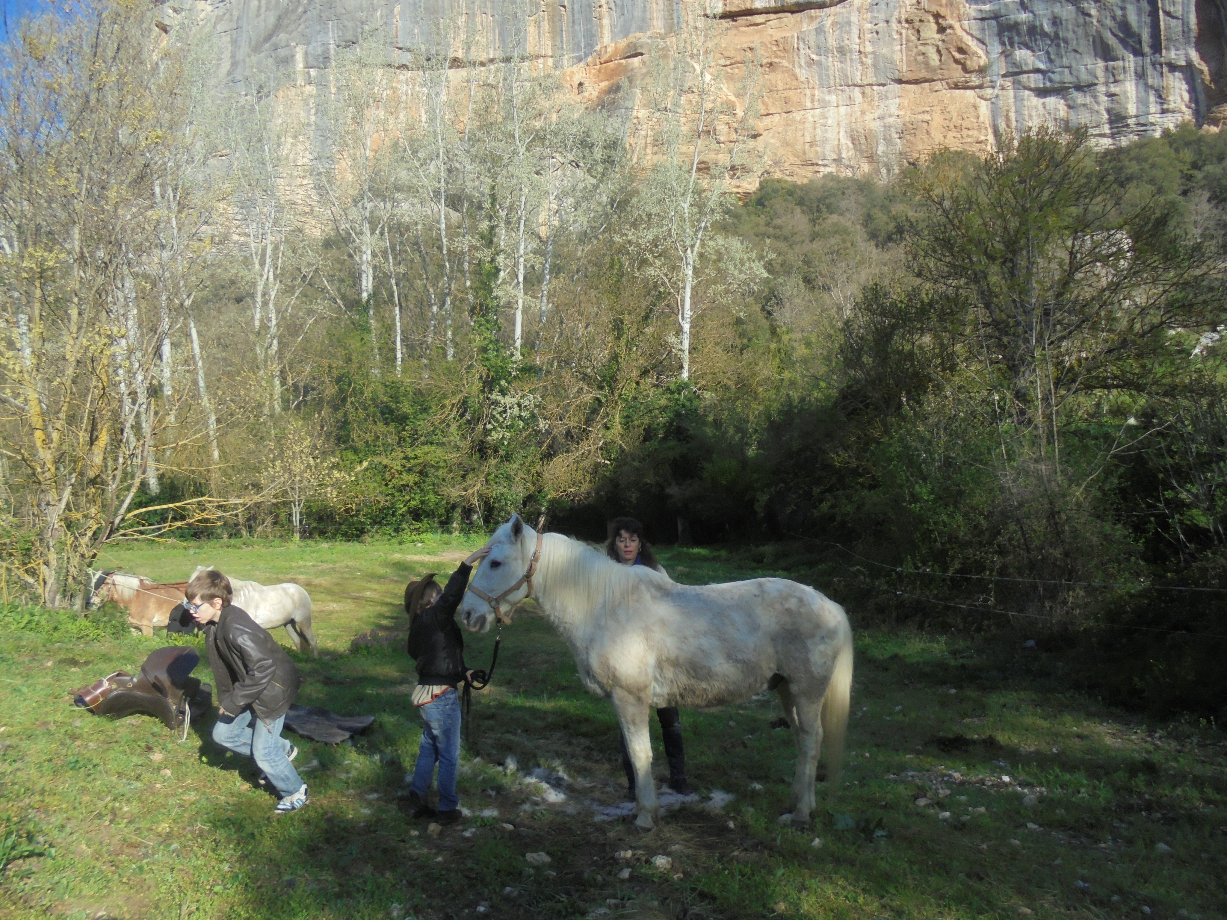 Image Quatre jours en rando à cheval dans le Petit Luberon itinérants