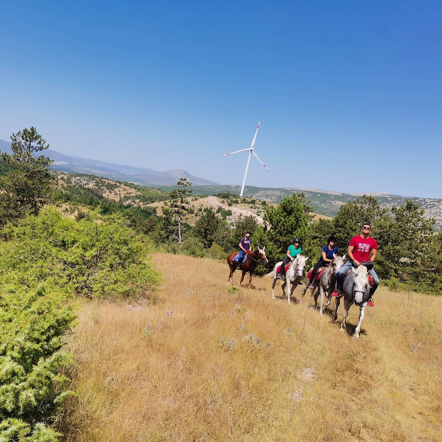 Image Croatie: Les collines de Dalmatie à cheval