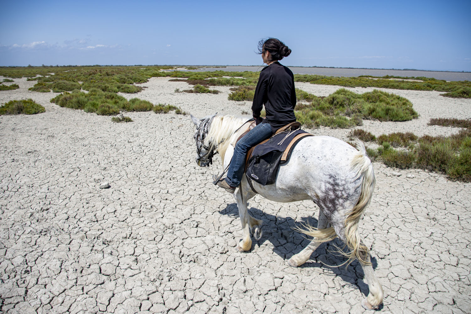 Image Découverte de la Camargue à cheval - Week ends 1 et 8 mai