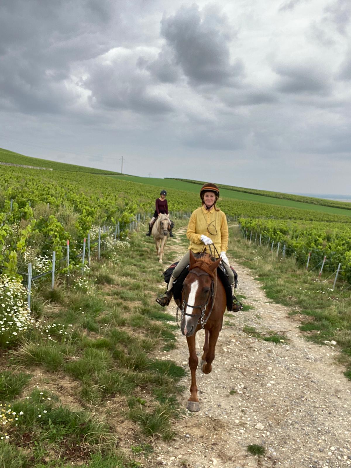 Image Chevauchée pétillante dans les vignobles de Champagne