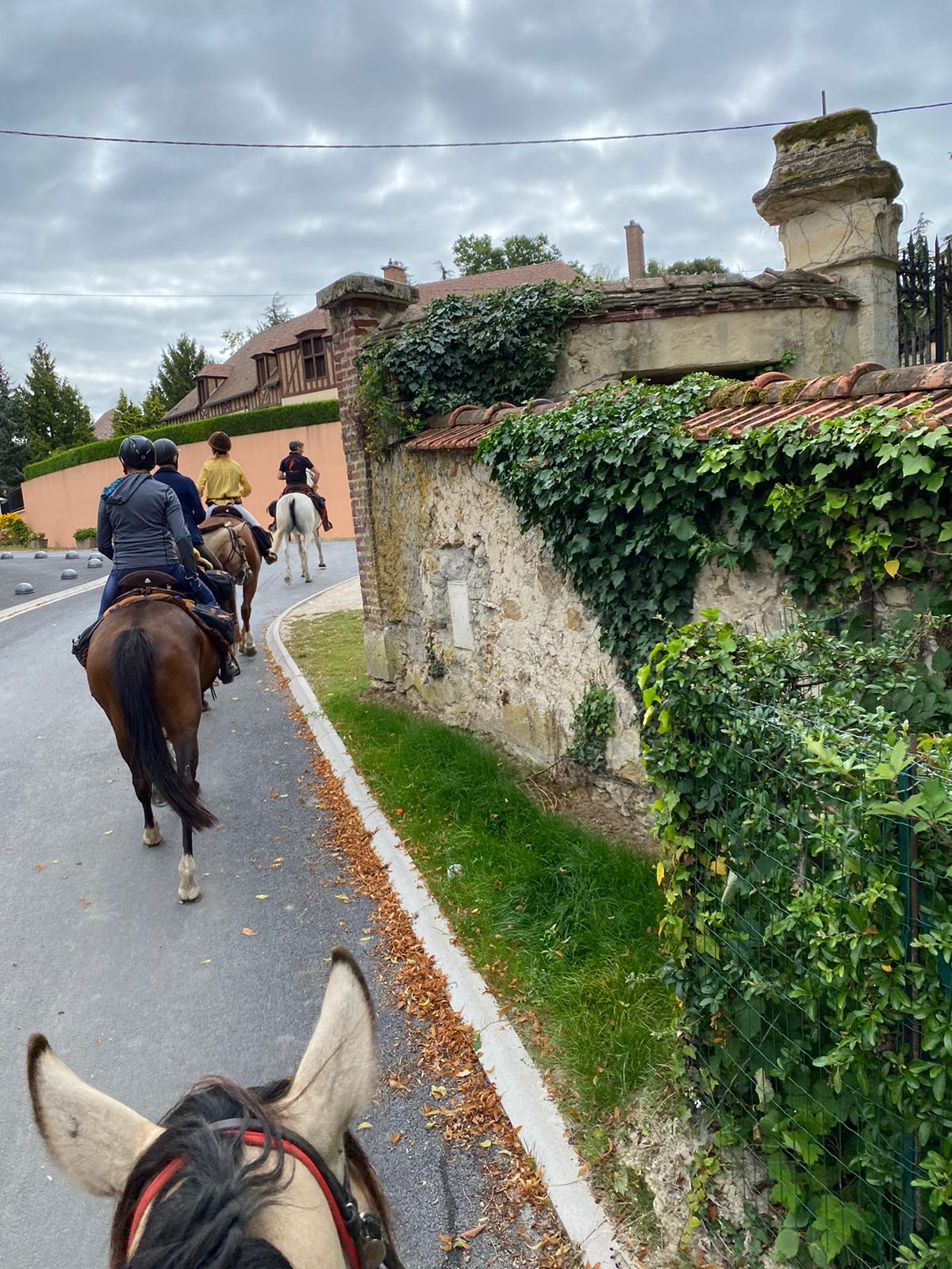 Image Chevauchée pétillante dans les vignobles de Champagne