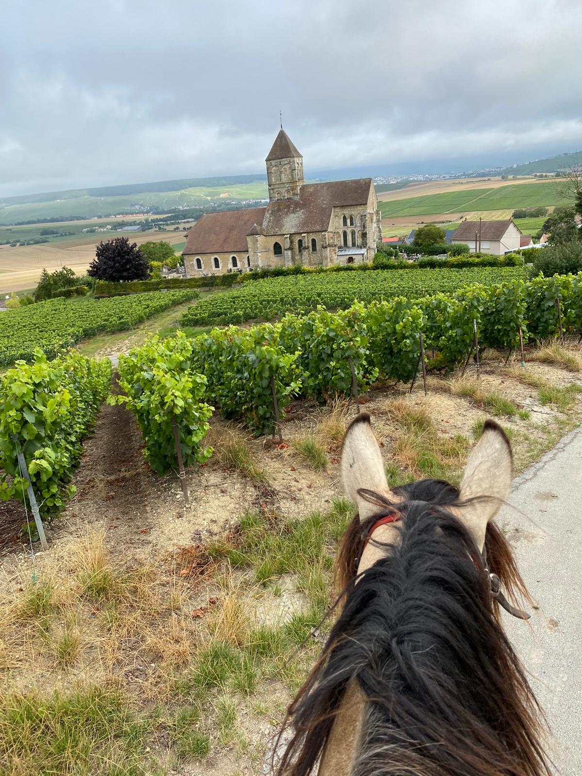 Image Chevauchée pétillante dans les vignobles de Champagne