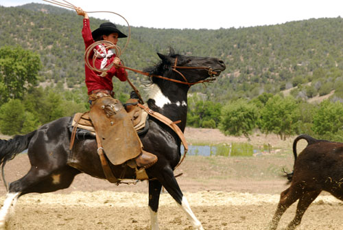 Image Usa : Séjour dans un ranch et multi activités dans Pleasant Valley en Arizona