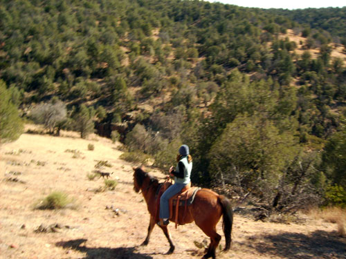 Image Usa : Séjour dans un ranch et multi activités dans Pleasant Valley en Arizona