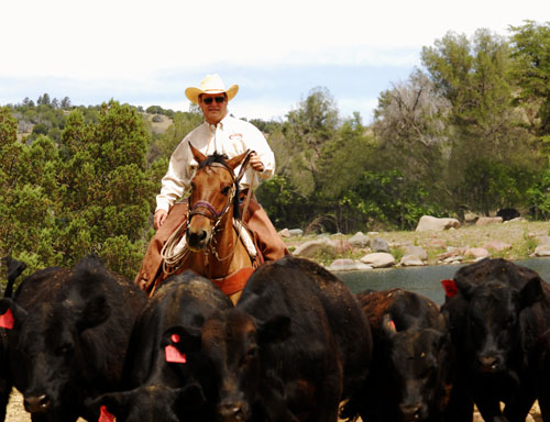 Image Usa : Séjour dans un ranch et multi activités dans Pleasant Valley en Arizona