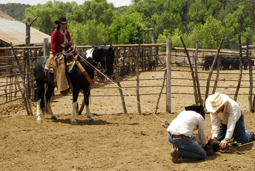 Image Usa : Séjour dans un ranch et multi activités dans Pleasant Valley en Arizona