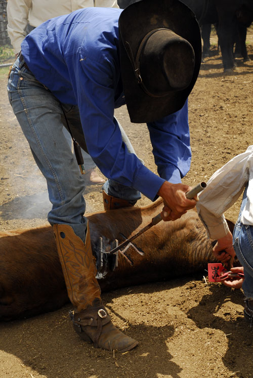 Image Usa : Séjour dans un ranch et multi activités dans Pleasant Valley en Arizona