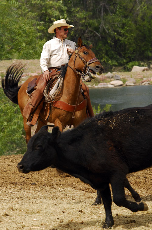 Image Usa : Séjour dans un ranch et multi activités dans Pleasant Valley en Arizona