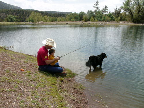 Image Usa : Séjour dans un ranch et multi activités dans Pleasant Valley en Arizona