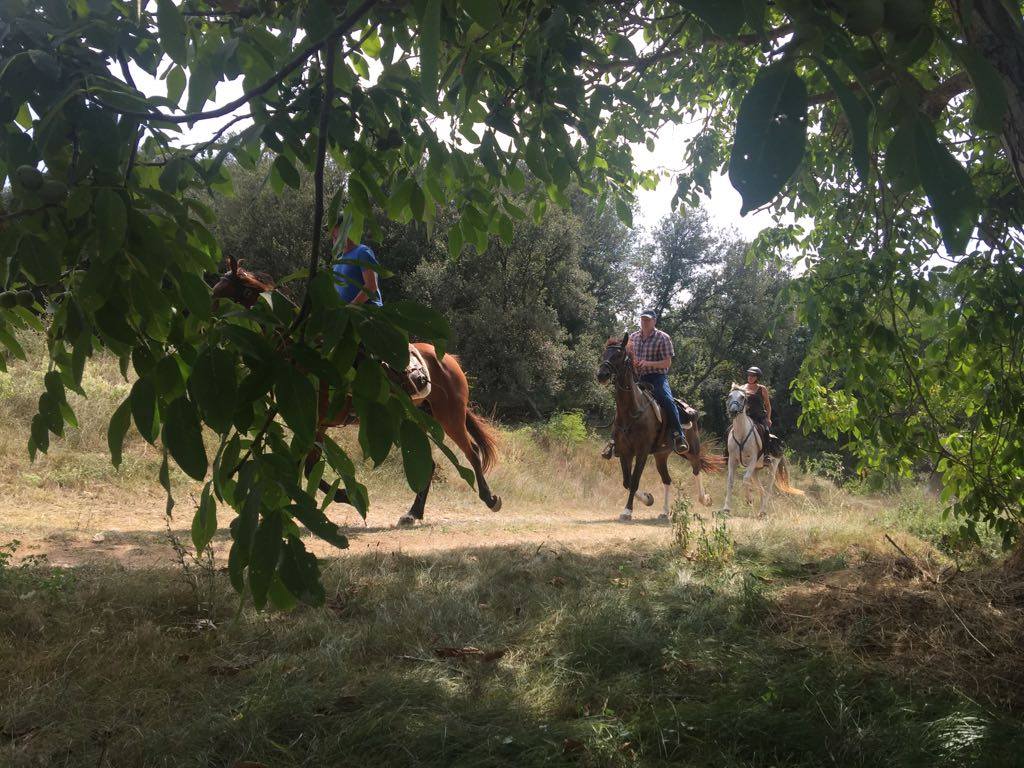 Image Espagne : Randonnée médiévale à cheval en Catalogne
