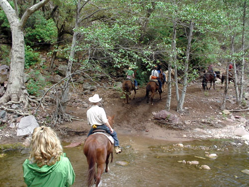 Image Usa : Séjour dans un ranch et multi activités dans Pleasant Valley en Arizona