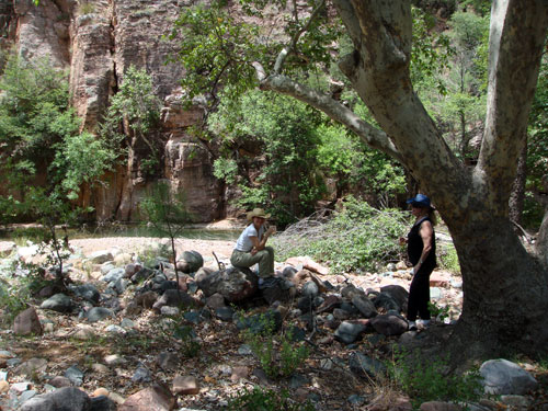Image Usa : Séjour dans un ranch et multi activités dans Pleasant Valley en Arizona