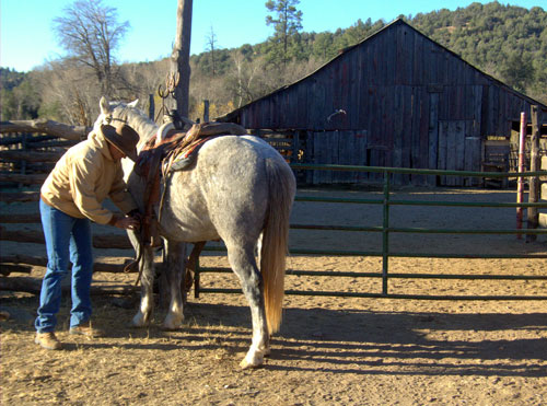 Image Usa : Séjour dans un ranch et multi activités dans Pleasant Valley en Arizona