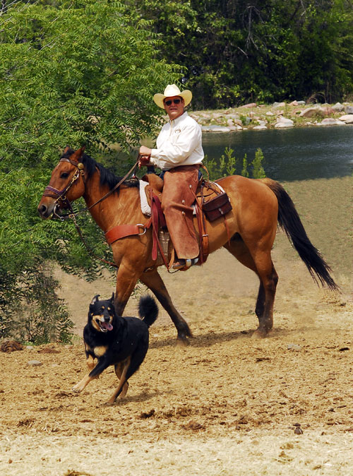 Image Usa : Séjour dans un ranch et multi activités dans Pleasant Valley en Arizona