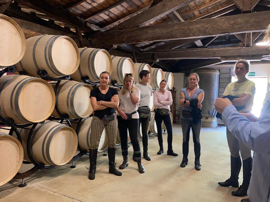 Image Les grands vins de Bordeaux à cheval