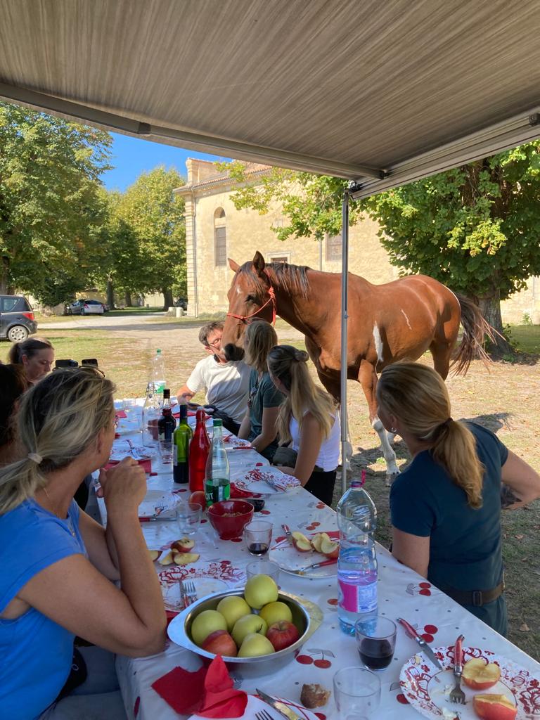 Image Les grands vins de Bordeaux à cheval