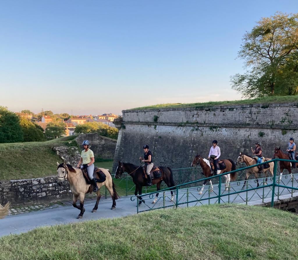 Image Les grands vins de Bordeaux à cheval