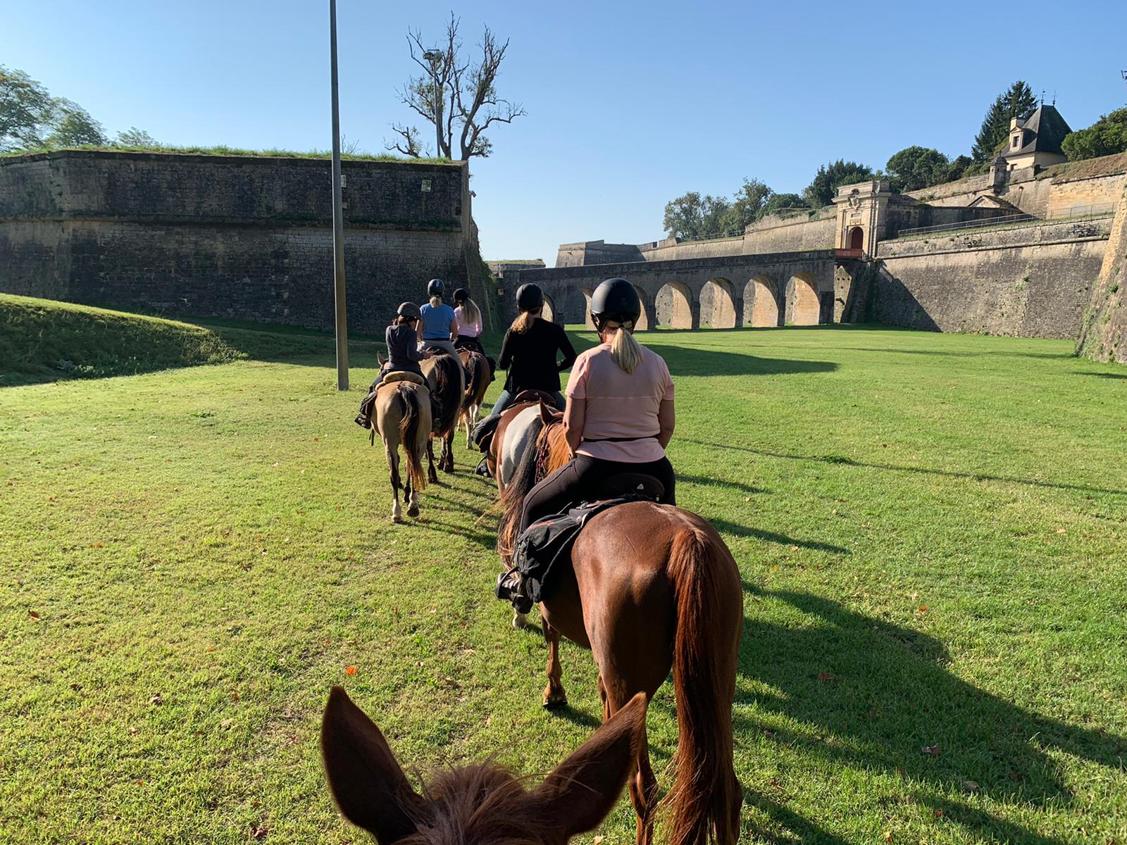 Image Les grands vins de Bordeaux à cheval