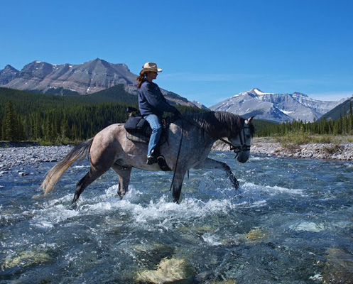 Image Canada : Randonnée à cheval en bivouacs en Alberta