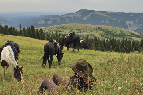 Image Canada : Randonnée à cheval en bivouacs en Alberta