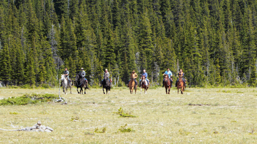 Image Canada : Randonnée à cheval en bivouacs en Alberta