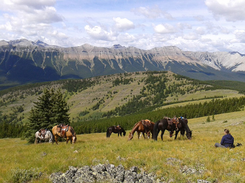 Image Canada : Randonnée à cheval en bivouacs en Alberta