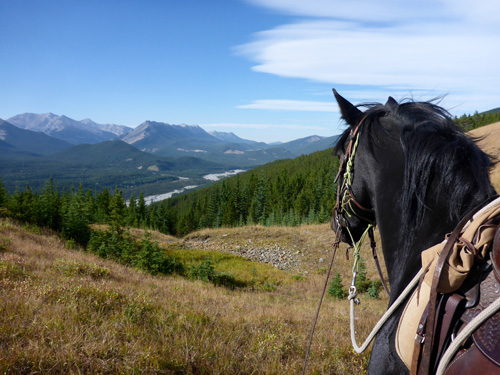 Image Canada : Randonnée à cheval en bivouacs en Alberta