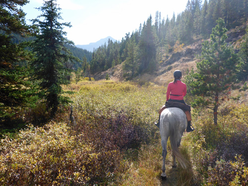 Image Canada : Randonnée à cheval en bivouacs en Alberta