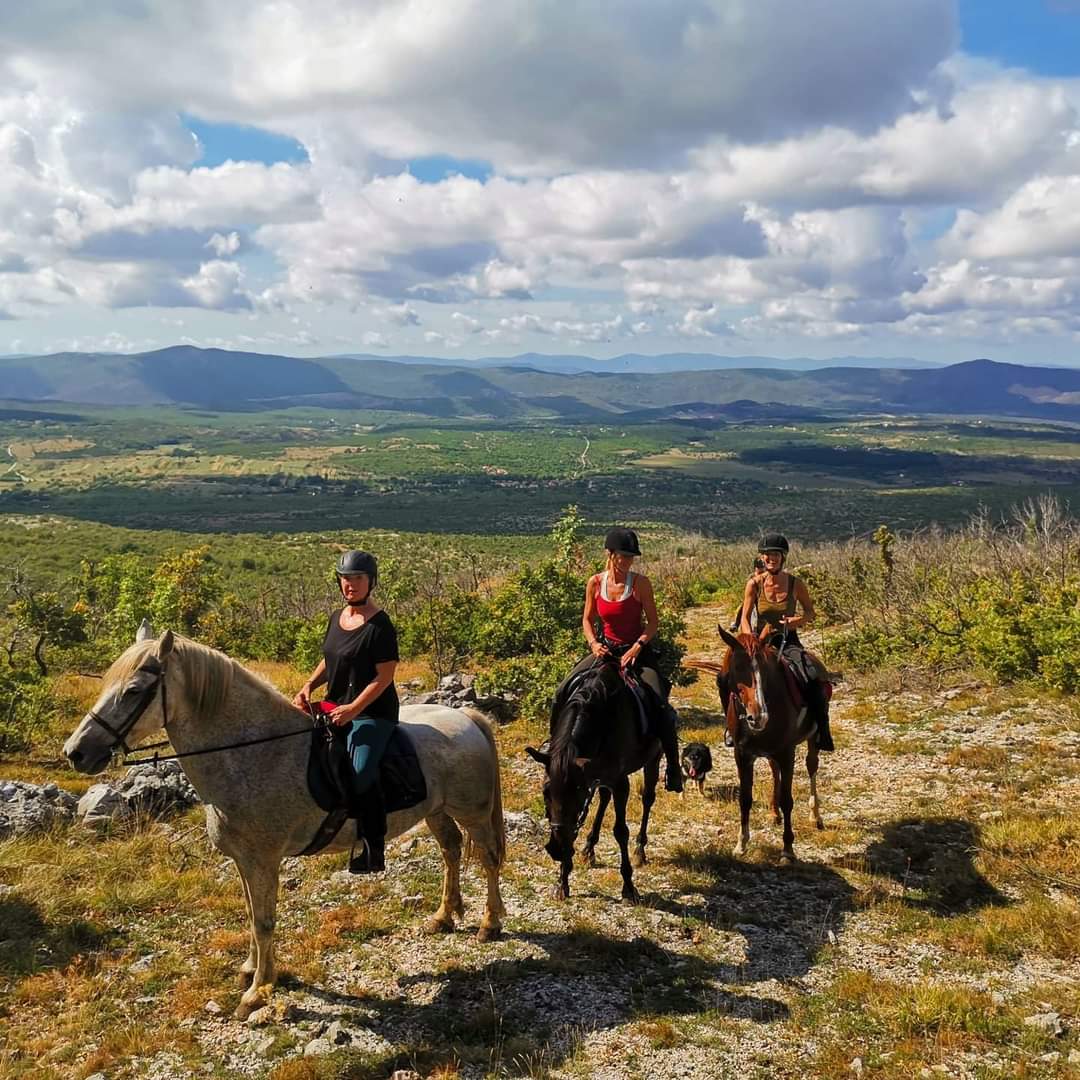 Image Croatie: Les collines de Dalmatie à cheval