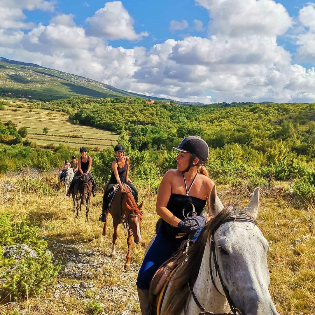 Image Croatie: Les collines de Dalmatie à cheval