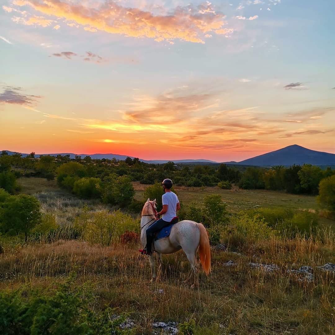 Image Croatie: Les collines de Dalmatie à cheval